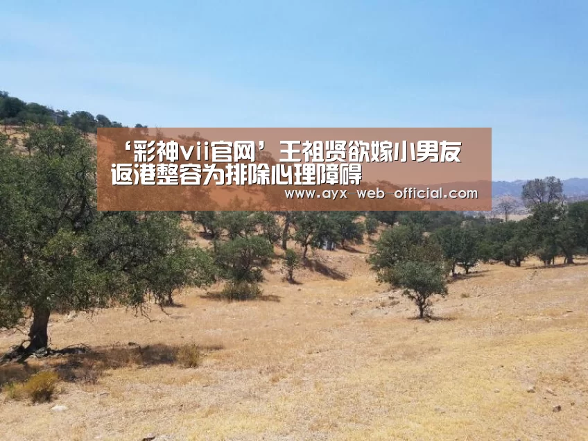 ‘彩神vii官网’王祖贤欲嫁小男友 返港整容为排除心理障碍(图1) 彩神vii开奖查询
