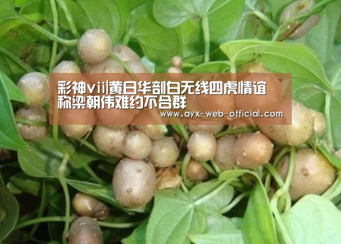 彩神vii|黄日华剖白无线四虎情谊 称梁朝伟难约不合群(图3) 彩神vii官网
